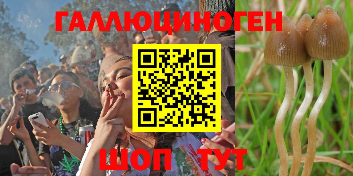 Галлюциногенные грибы ЛСД Тосно